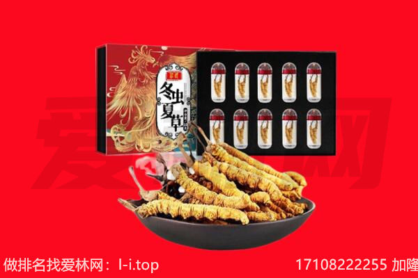 通化县回收虫草.jpg